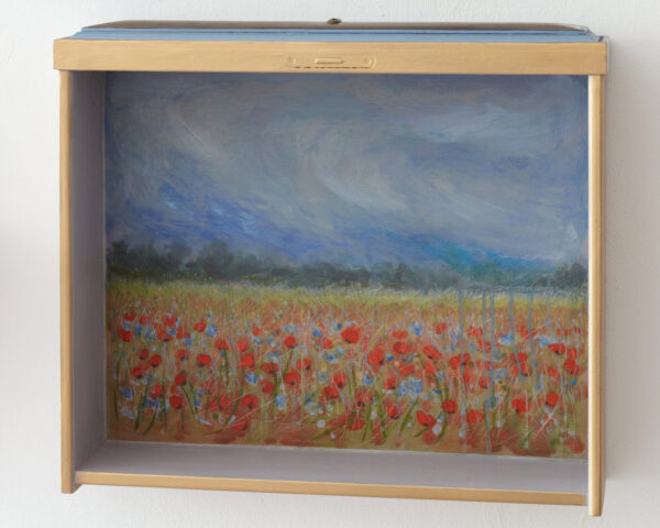Mohn und Wolken