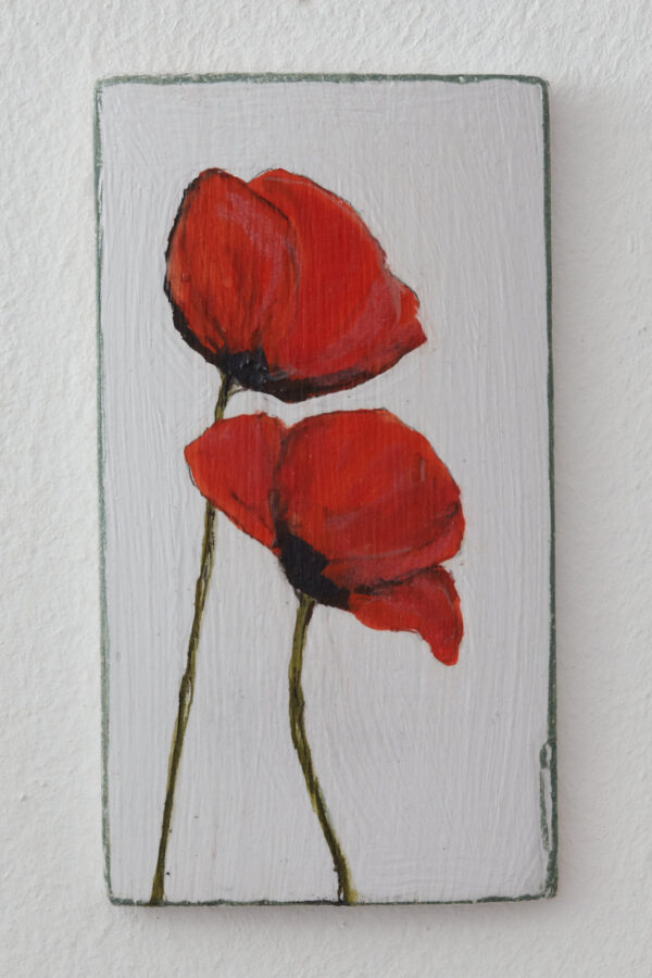 Sommermohn