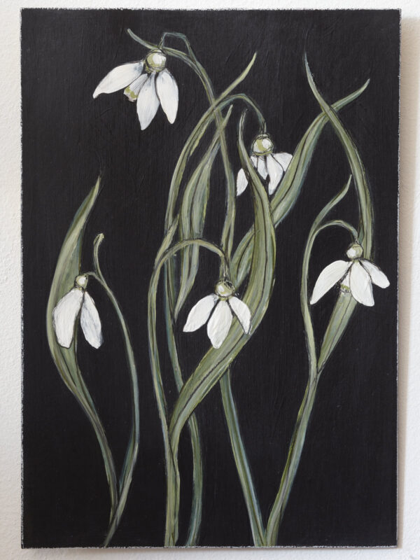 Schneeglöckchen auf dunklem Grund