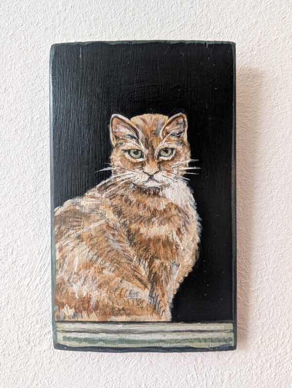 Roter Kater auf der Fensterbank