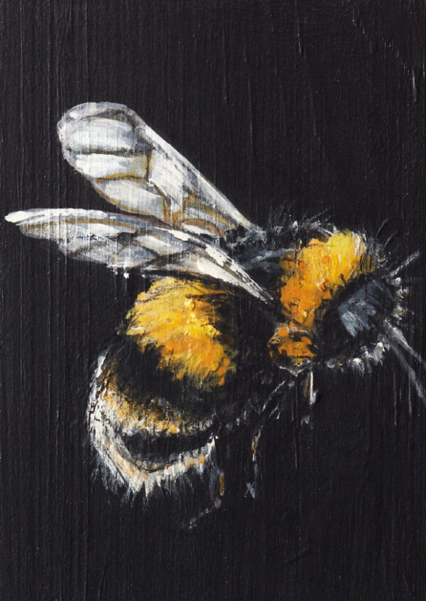 Hummel - eine Postkarte im A6-Format