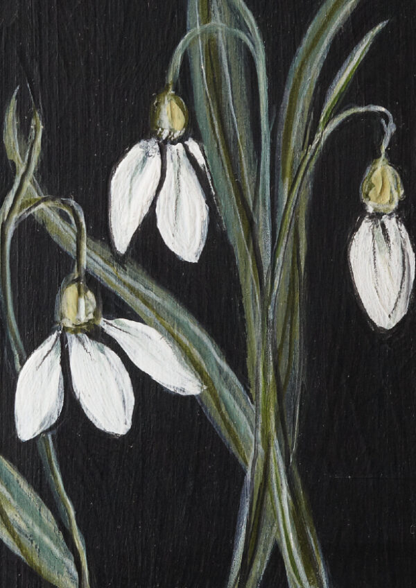 Schneeglöckchen - eine Postkarte im A6-Format