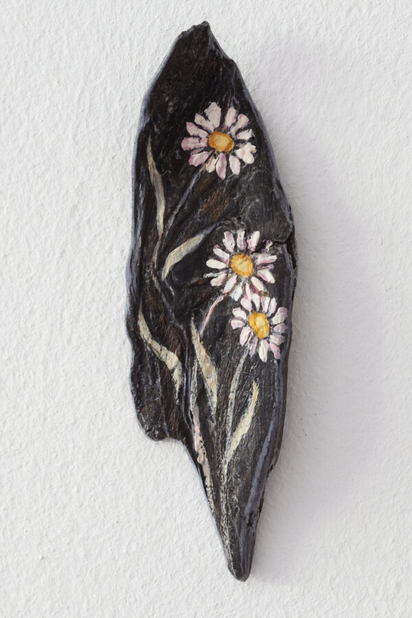 Gänseblümchen