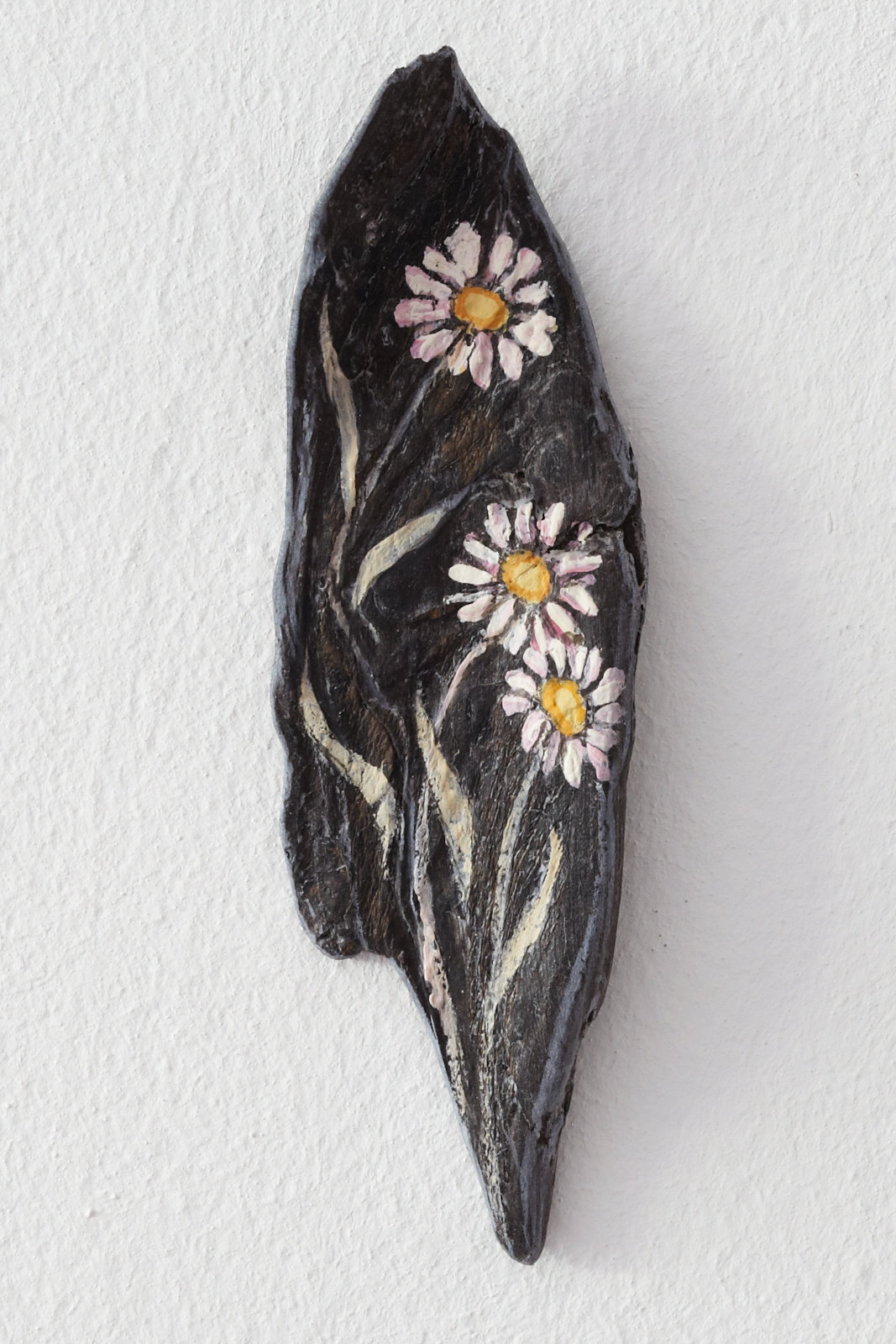 Gänseblümchen