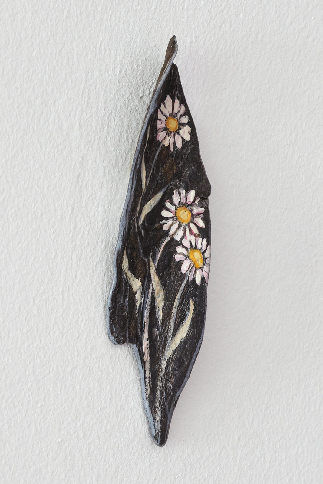 Gänseblümchen – Bild 2