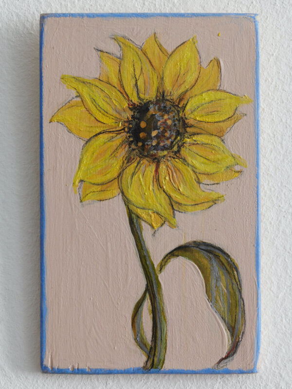 Sonnenblume