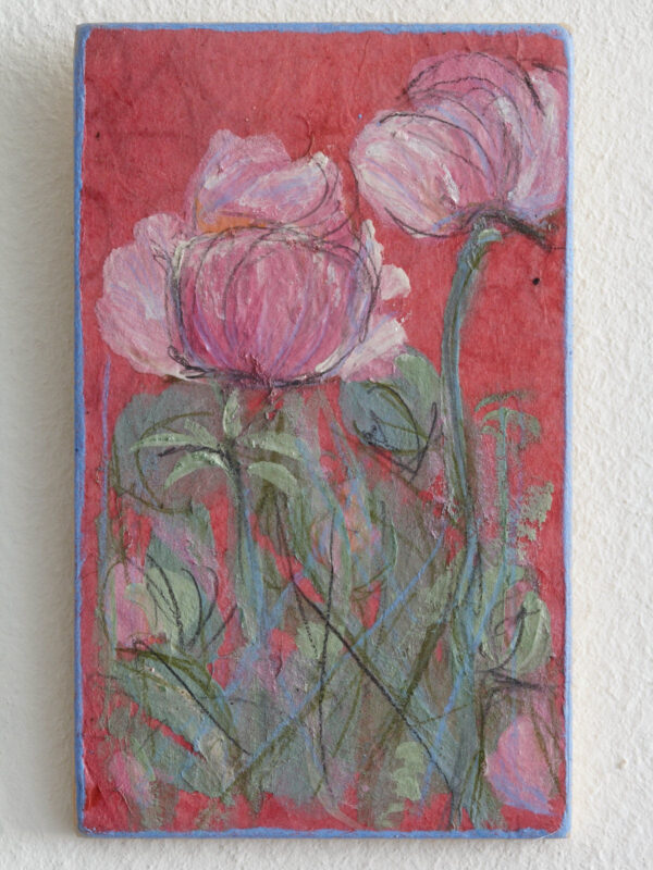 Rosa Mohn